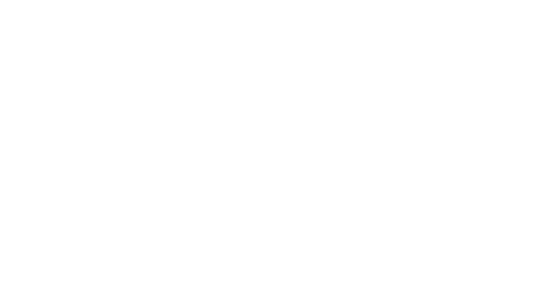 R&M REAL & MINORITY